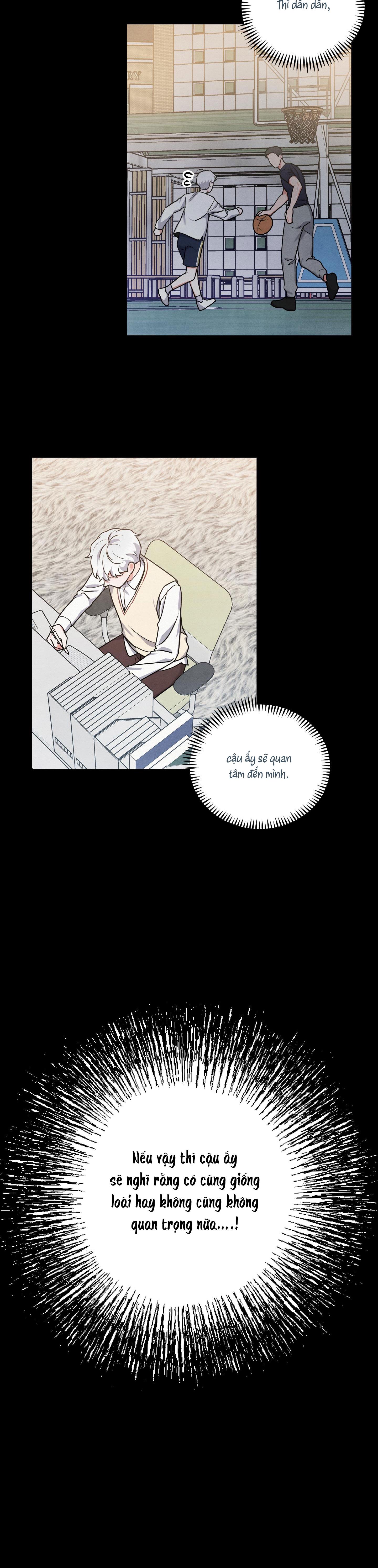 mối quan hệ ngu ngốc chapter 21 12