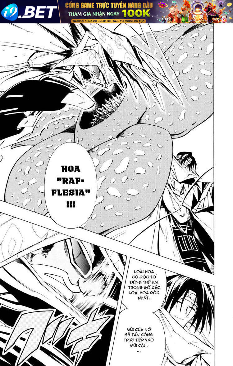 vua pháp thuật chapter 293 5