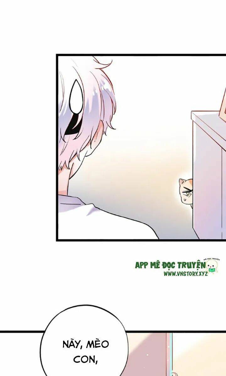 trạch thượng tịch mịch huỳnh hỏa chapter 26 6