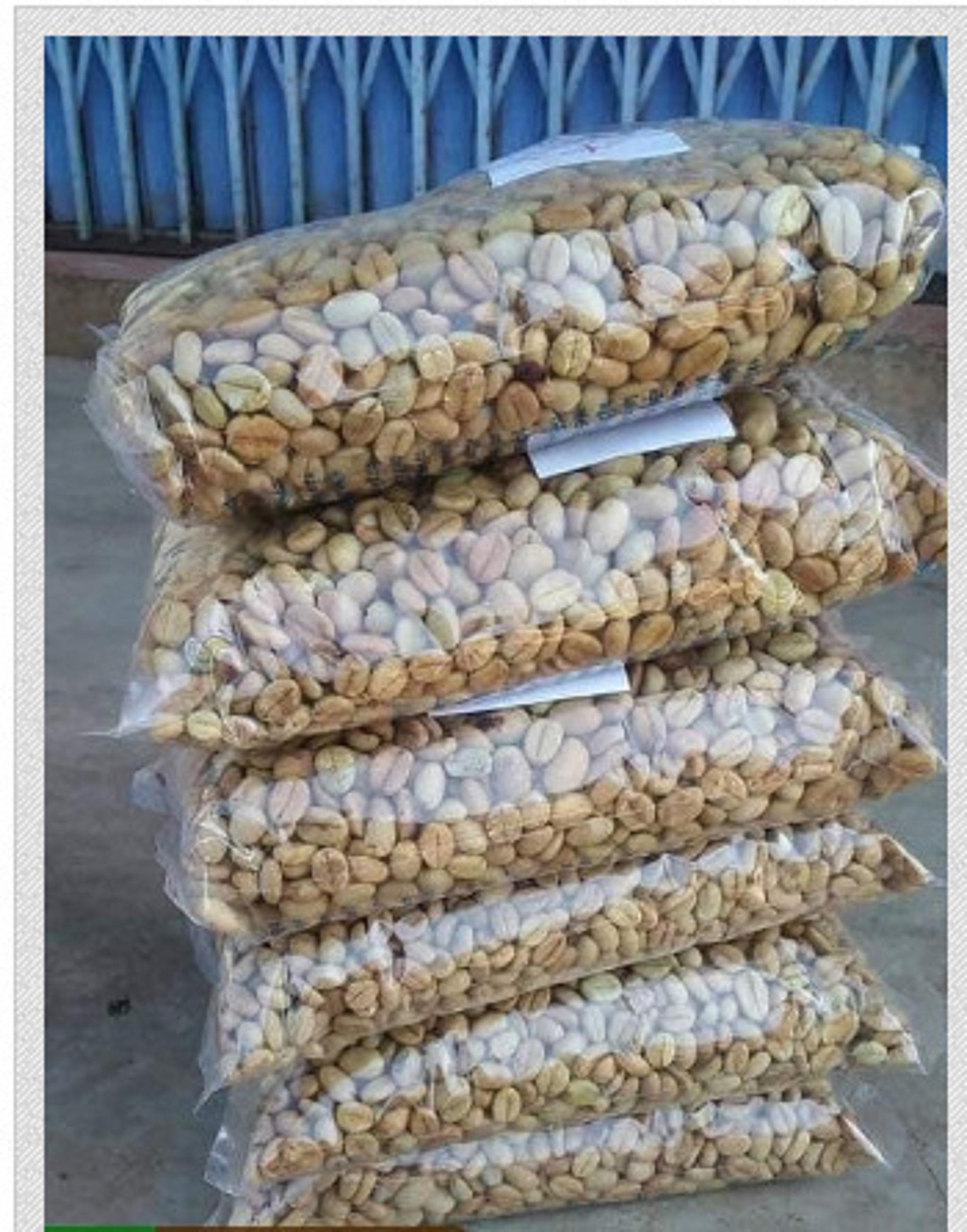 1 KG HẠT GIỐNG CÀ PHÊ THIỆN TRƯỜNG CAO SẢN 100% HẠT MỚI- TỶ LỆ NẢY MẦM CAO.