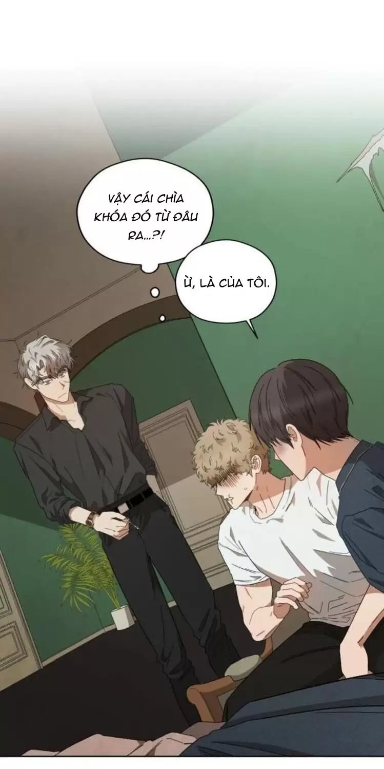 liveta chapter 38 15