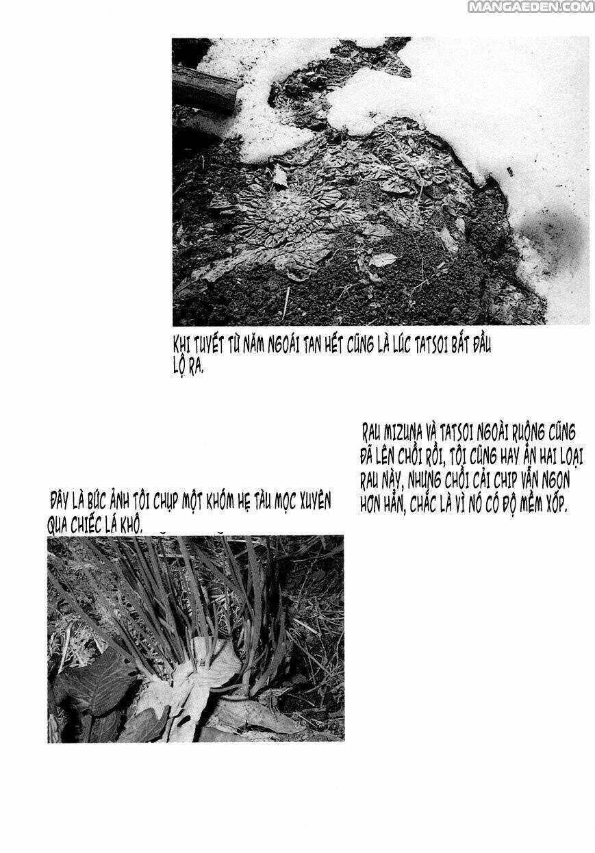 little forest chapter 20 9