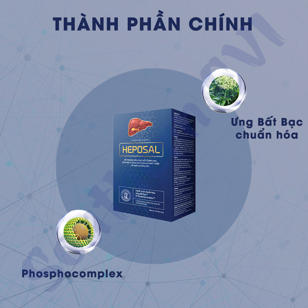 Heposal Hộp 30 Viên