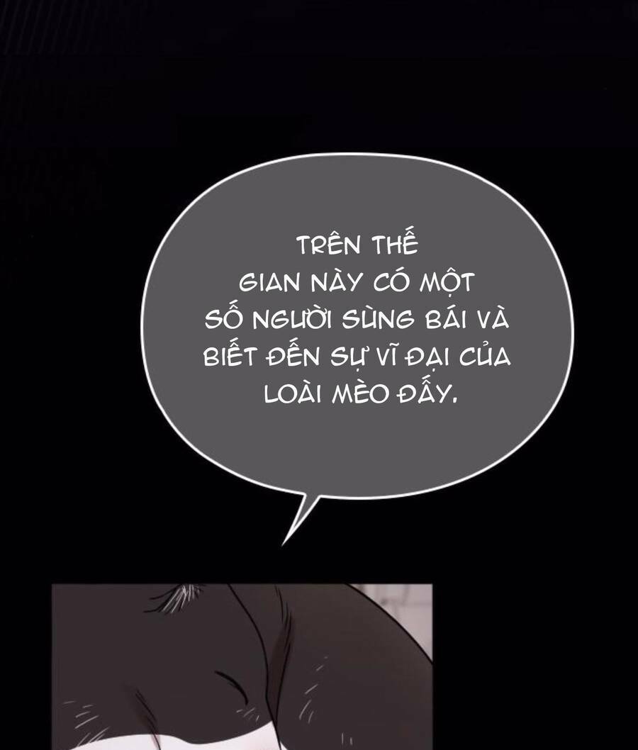 cô đi mà lấy chồng tôi đi chapter 67 36