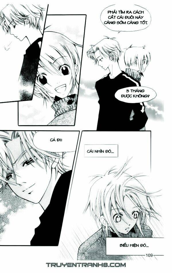 ngọc trong đá-ace chapter 5 10