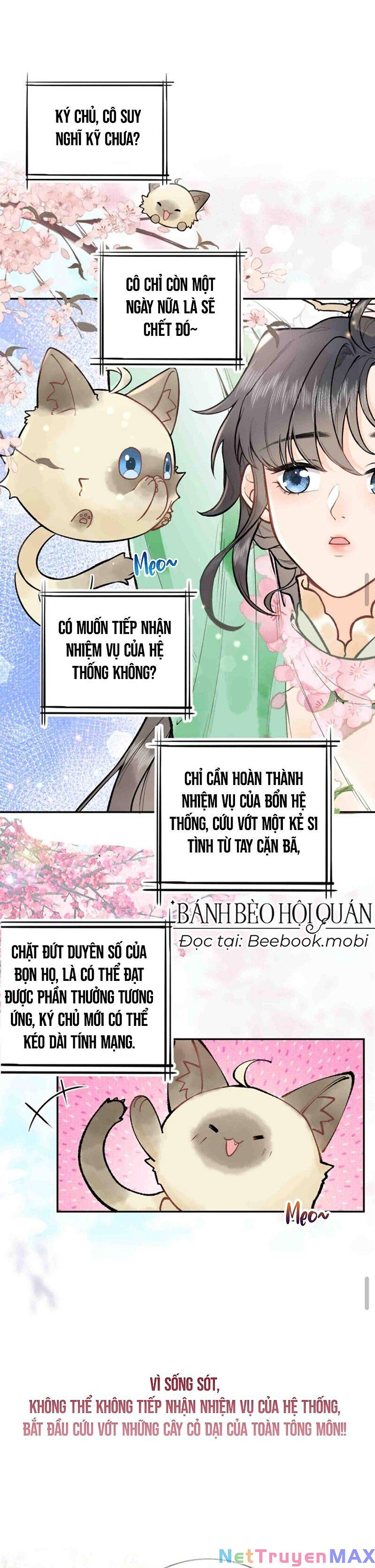 toàn tông môn đều là kẻ si tình, chỉ có ta là tỉnh táo chapter 0 2