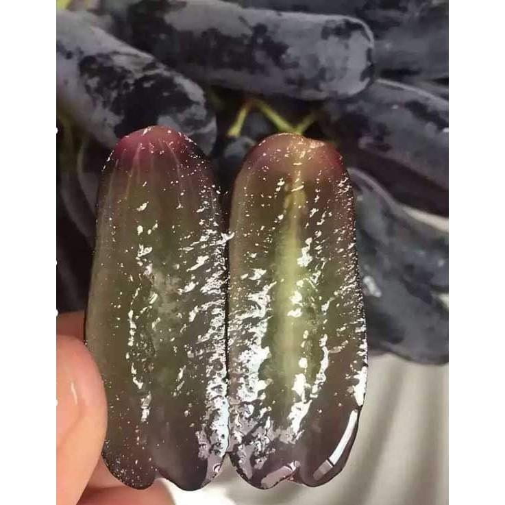 Combo 2 cây nho ngón tay