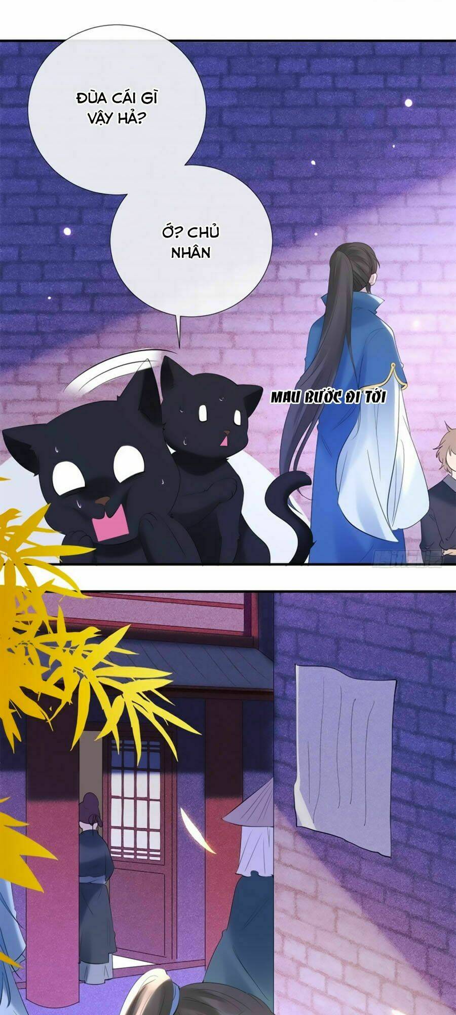 tuyệt thế thần y: phúc hắc đại tiểu thư chapter 10.1 29