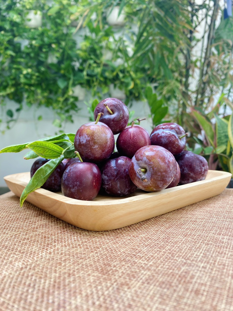 Mận Cơm - 1KG