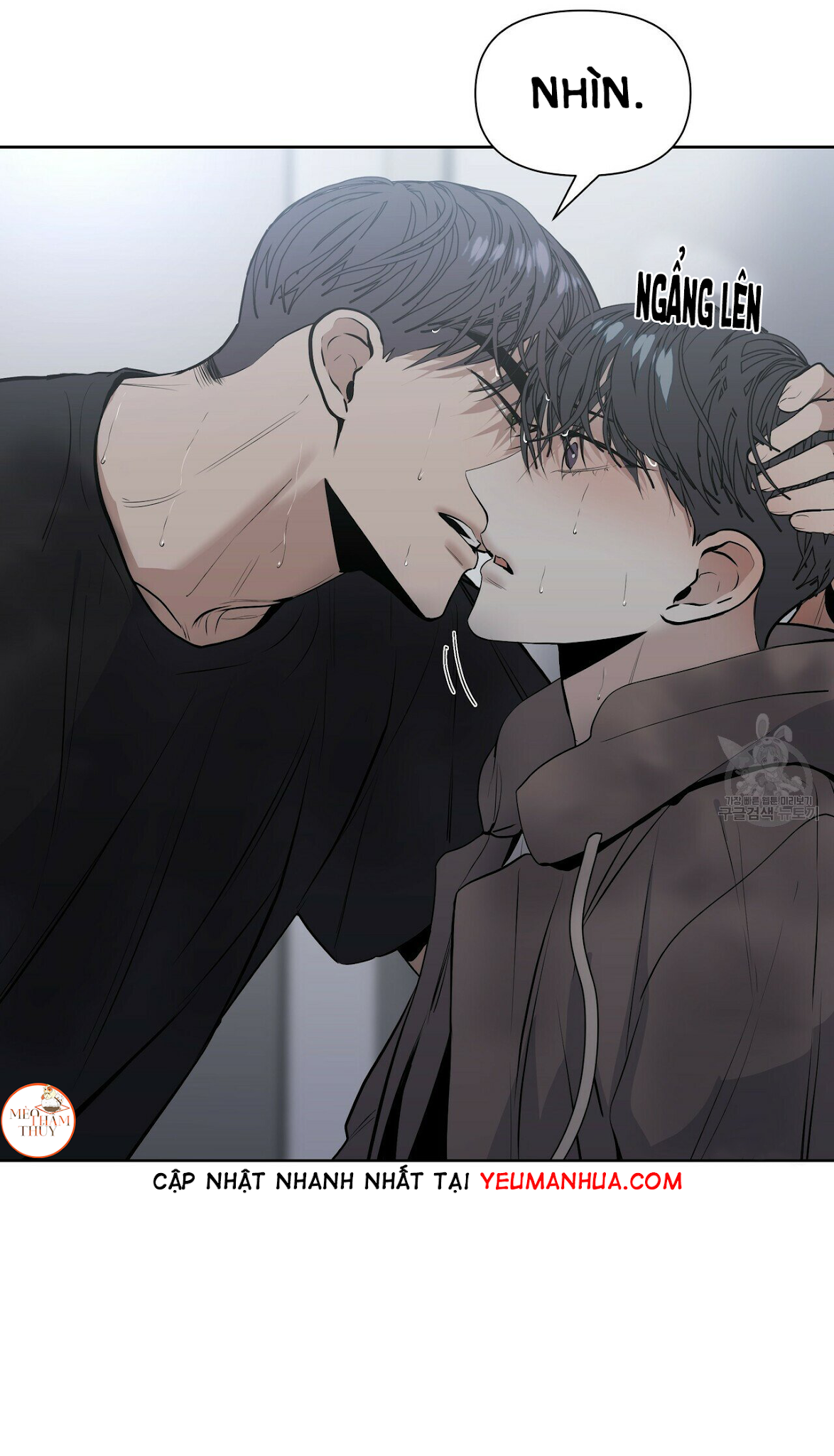 hội chứng chapter 11 16