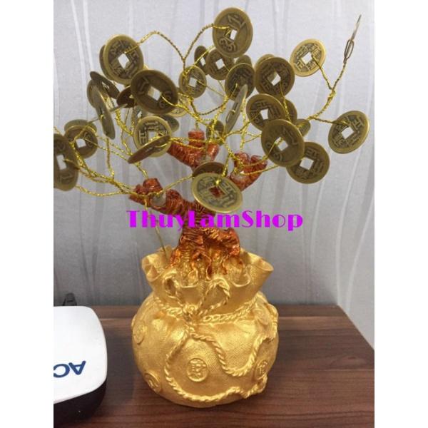 Cây tài lộc may mắn bằng xu đồng