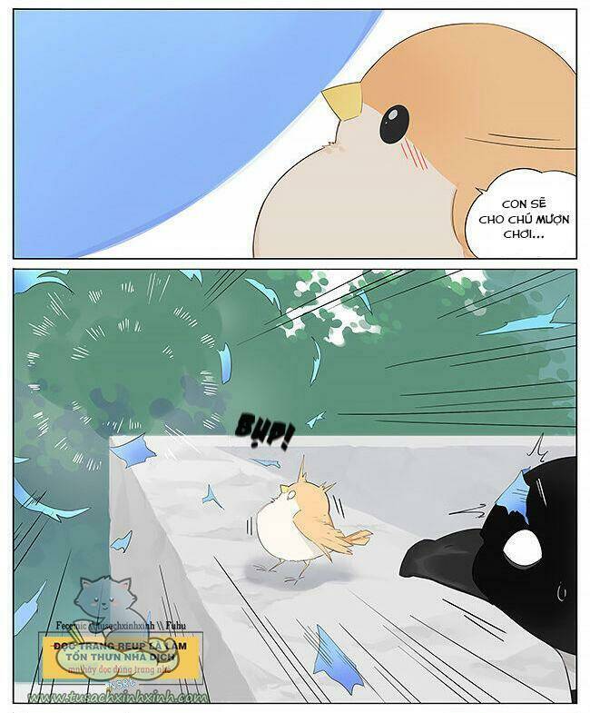 chim sẻ gọi ngỗng trời chapter 11 3