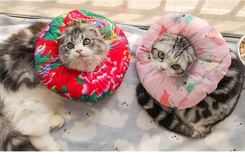 VÒNG CỔ THÚ CƯNG VÒNG CỔ LOA CHỐNG LIẾM CHO THỎ CHÓ MÈO TỪ 0.1-8KG CHO CHÓ MÈO THỎ