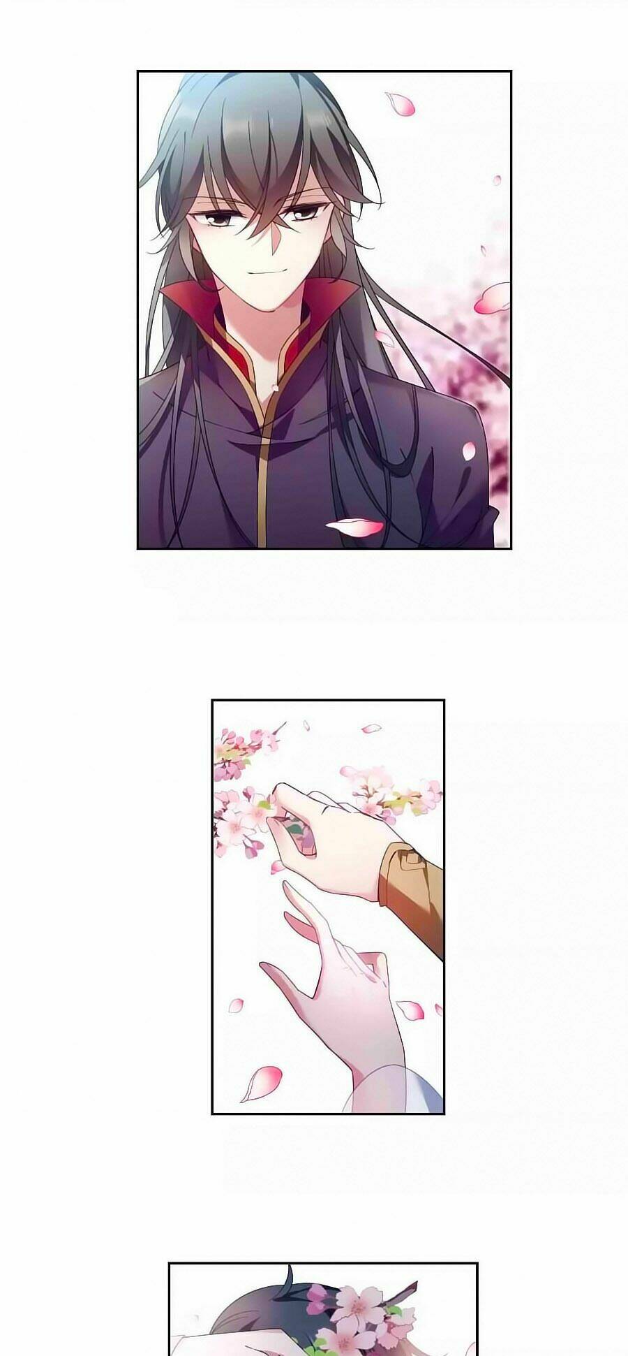 toàn cơ từ chapter 37.5 5