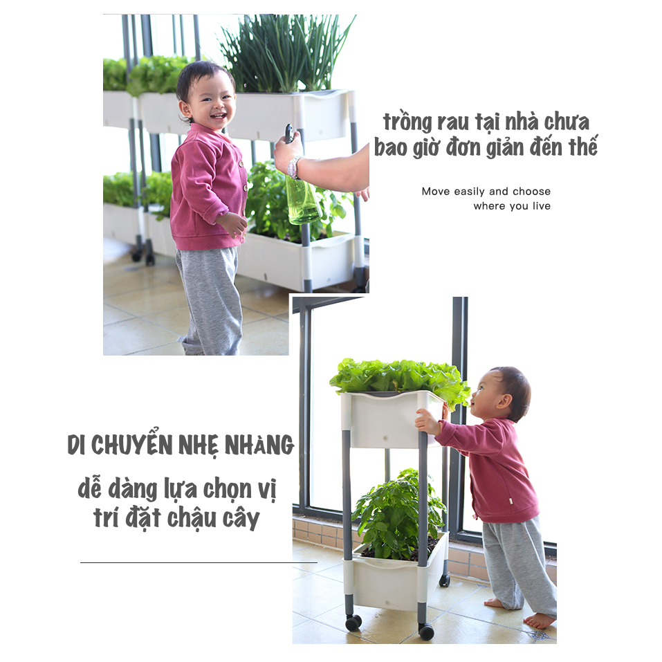 Chậu trồng rau Oliz D202. Chậu trồng rau thông minh tự dưỡng, có bánh xe di chuyển, phù hợp nhiều không gian