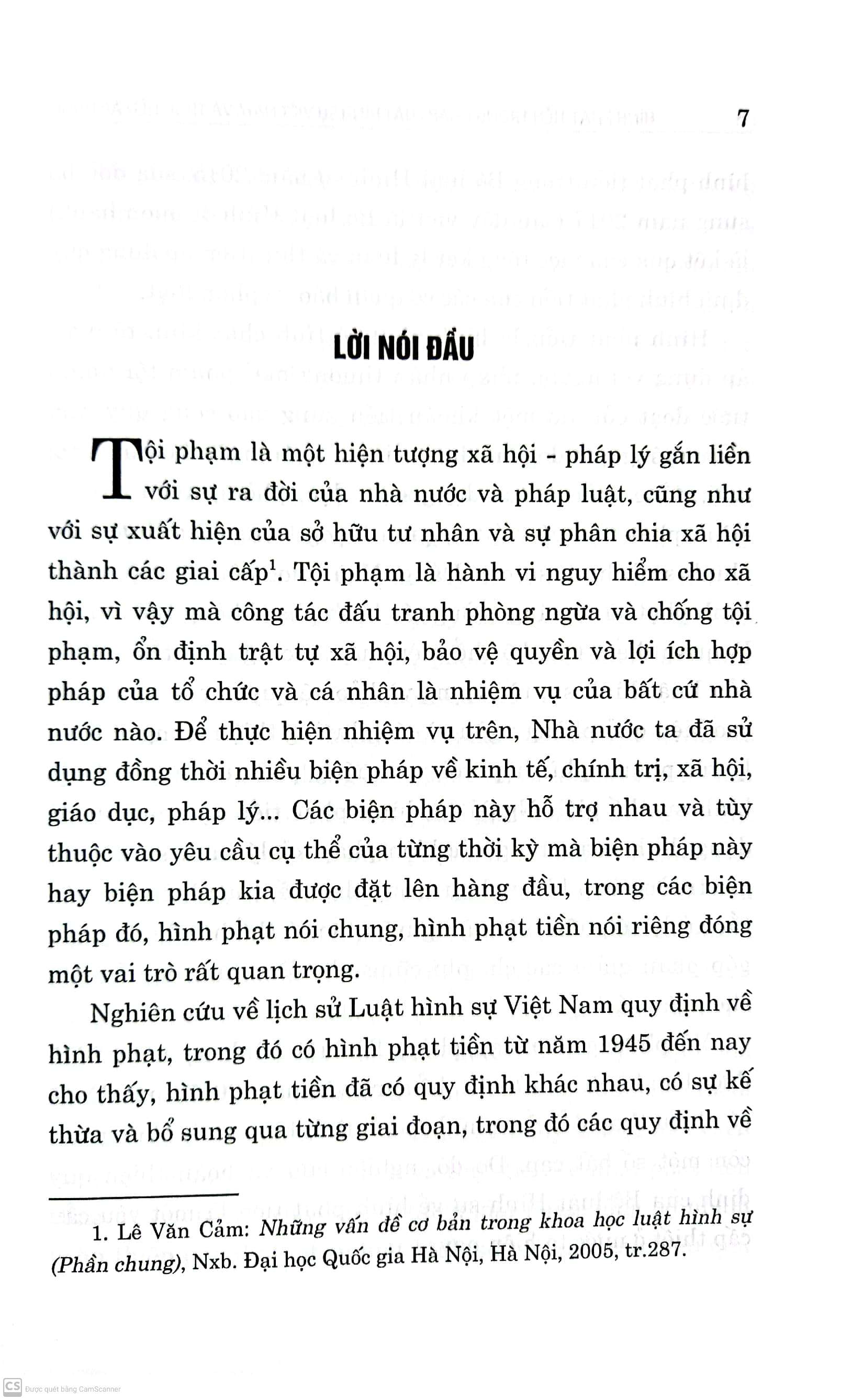 Hình phạt tiền trong pháp luật hình sự Việt Nam và thực tiễn áp dụng (sách chuyên khảo)