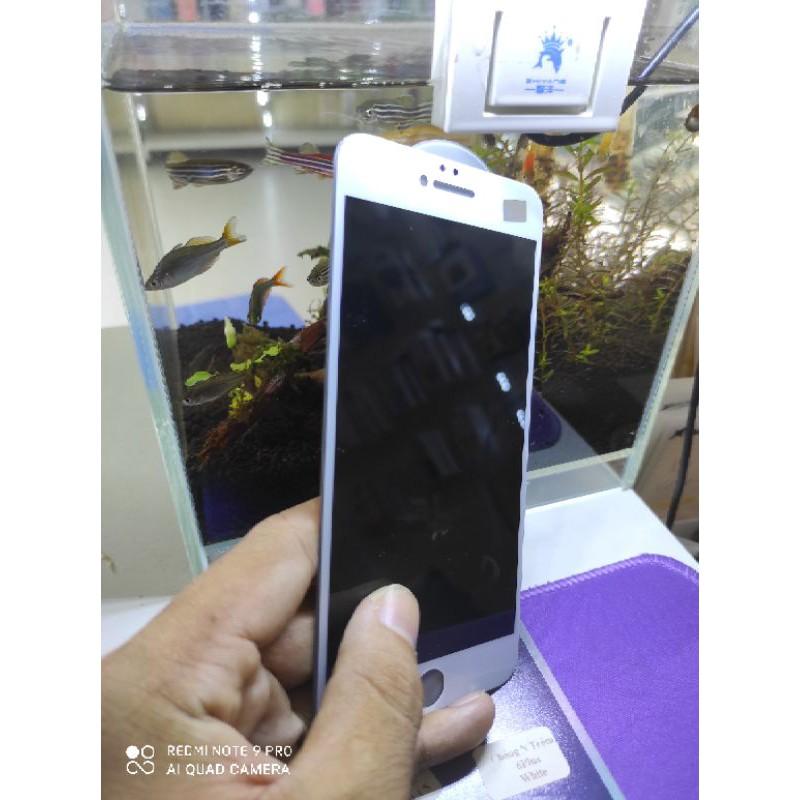 Kính chống nhìn trộm Full D