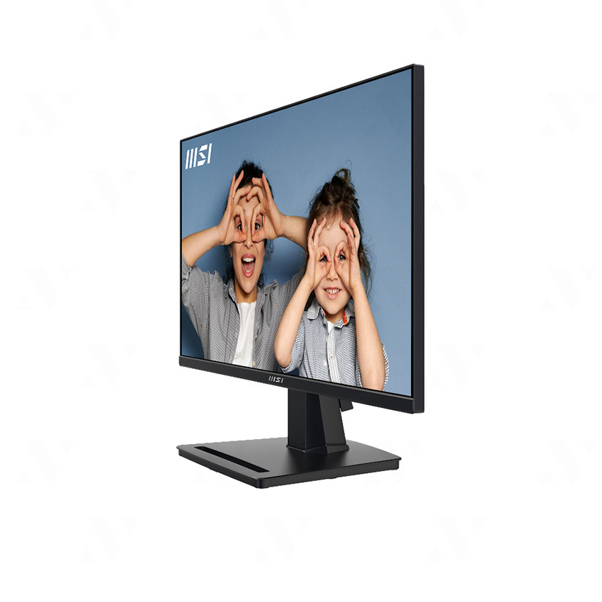 Màn hình máy tính MSI PRO MP251 | FHD (1920 x 1080) / IPS / 100Hz / 1ms / HDMI / D-Sub / Loa tích hợp 2W x 2 - Hàng Chính Hãng