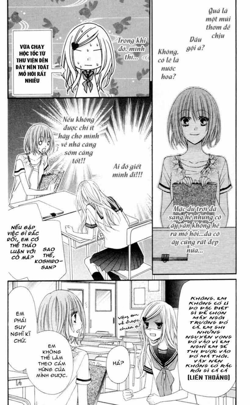 stardust wink chapter 13 5