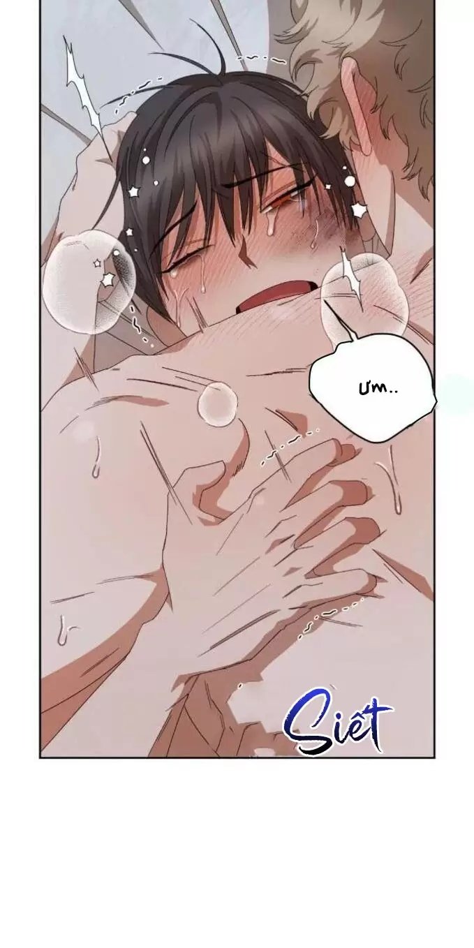 liveta chapter 32 38