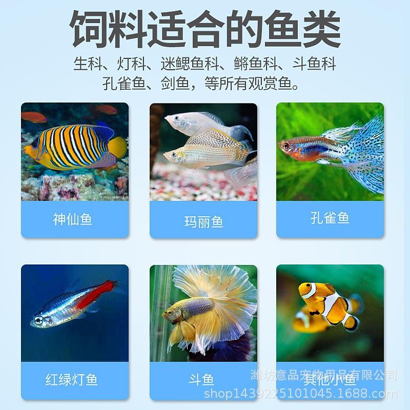 Trùn huyết sấy khô -Thức ăn dinh dưỡng cho cá thần tiên, cá đĩa, betta -phụ kiện thủy sinh-Shopleo