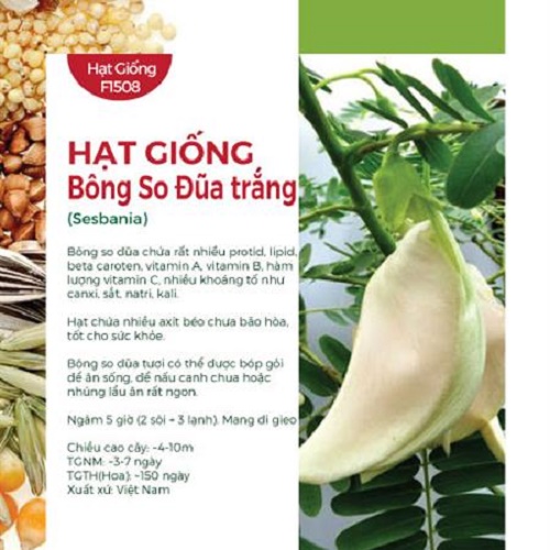 Hạt Giống Bông So Đũa Trắng (1gr)