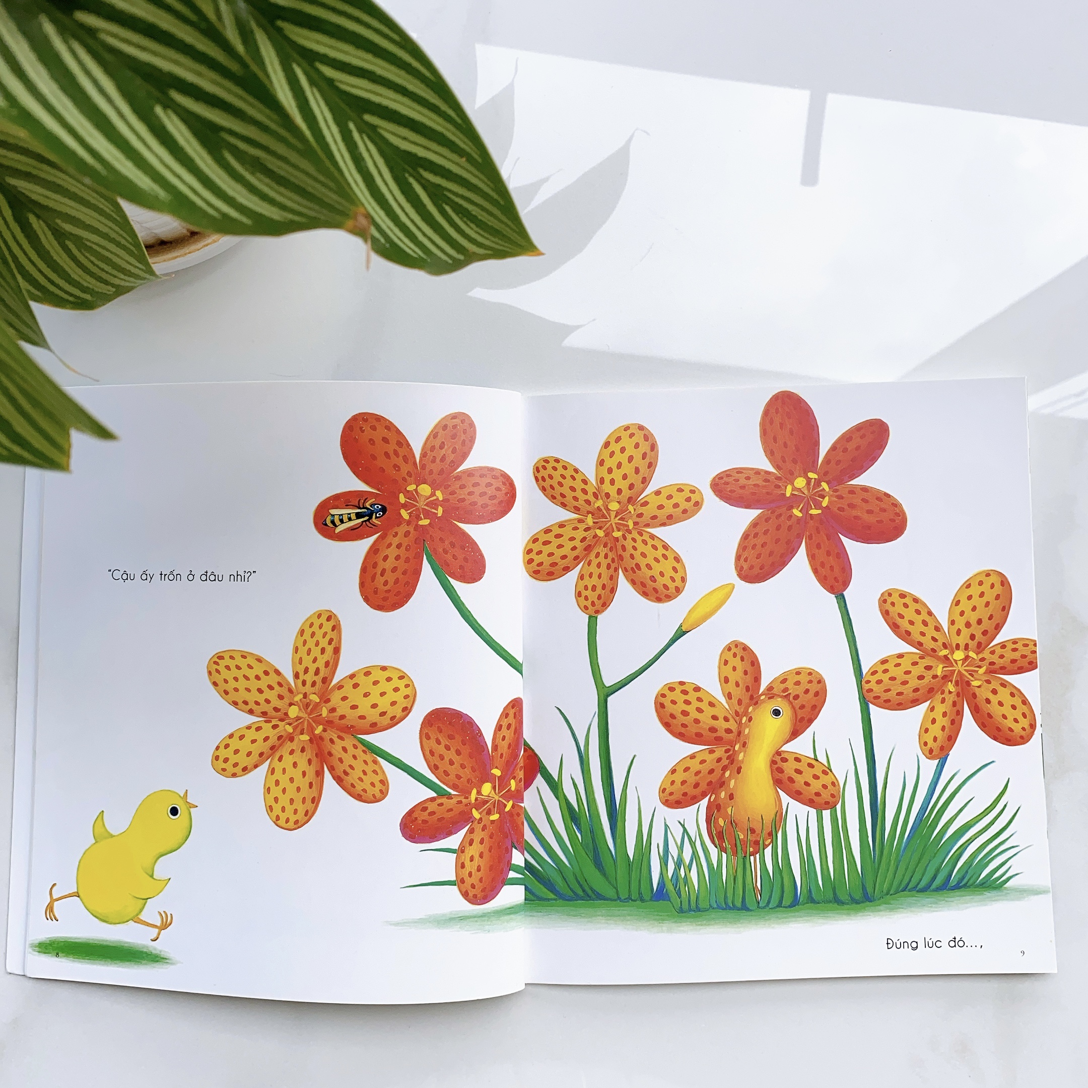 Sách Ehon Nhật Bản - Combo Yêu thương gia đình cho bé 0-3 tuổi