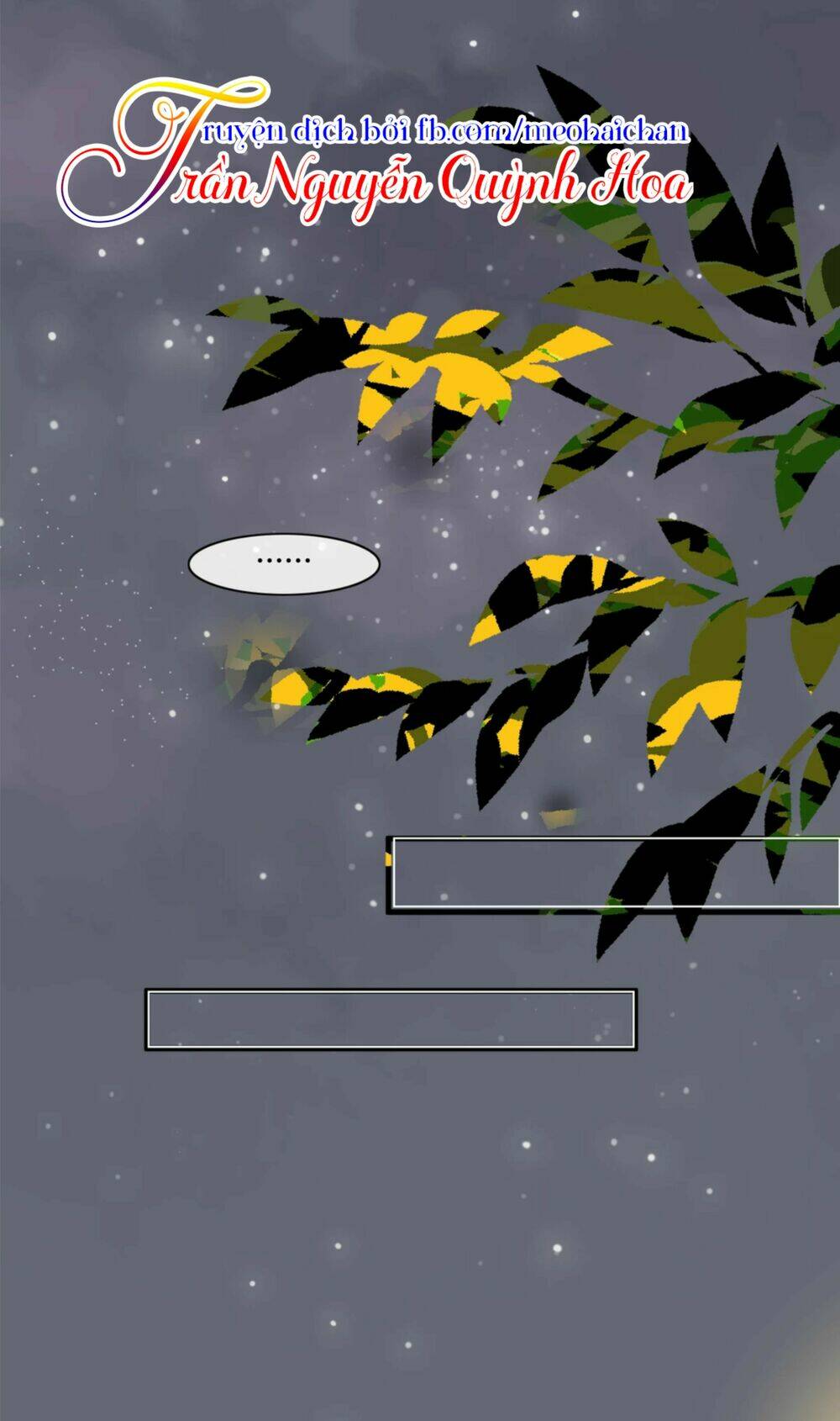 điều giáo quan hệ chapter 8 24