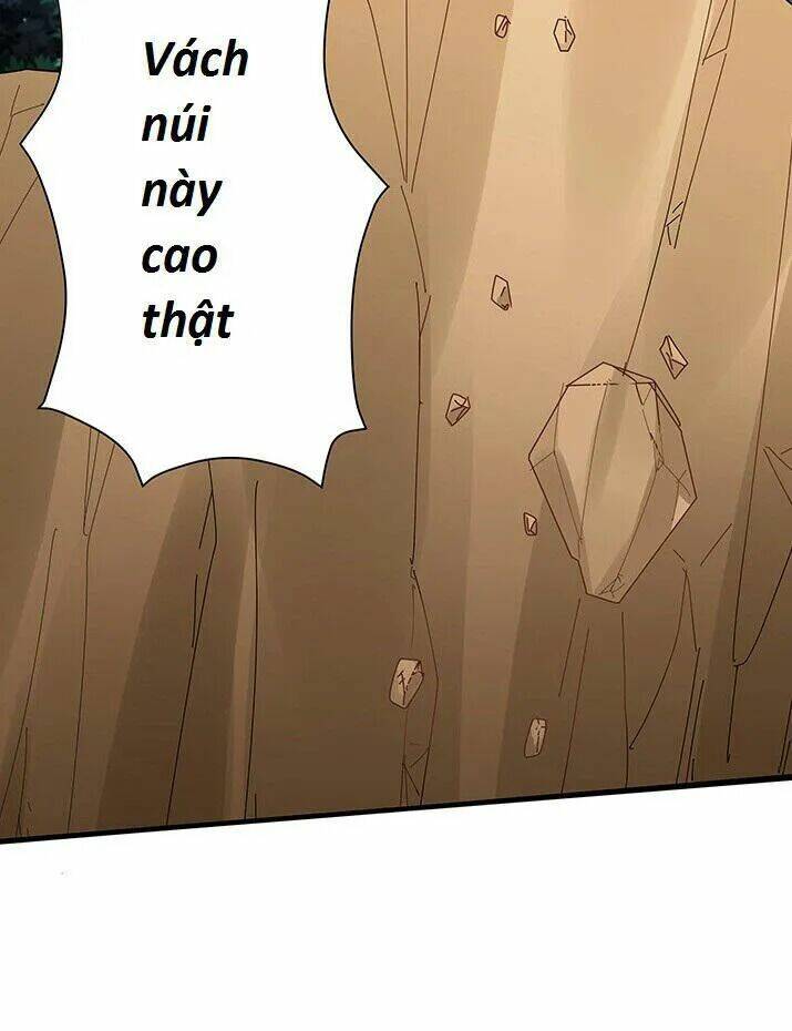 độc phi thần y quá kiêu ngạo chapter 5 1