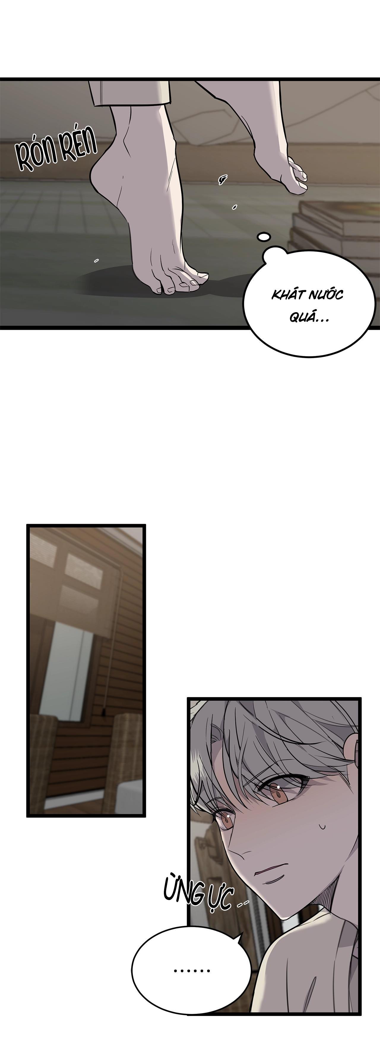 sao notp lại thành thật rồi? chapter 11 14