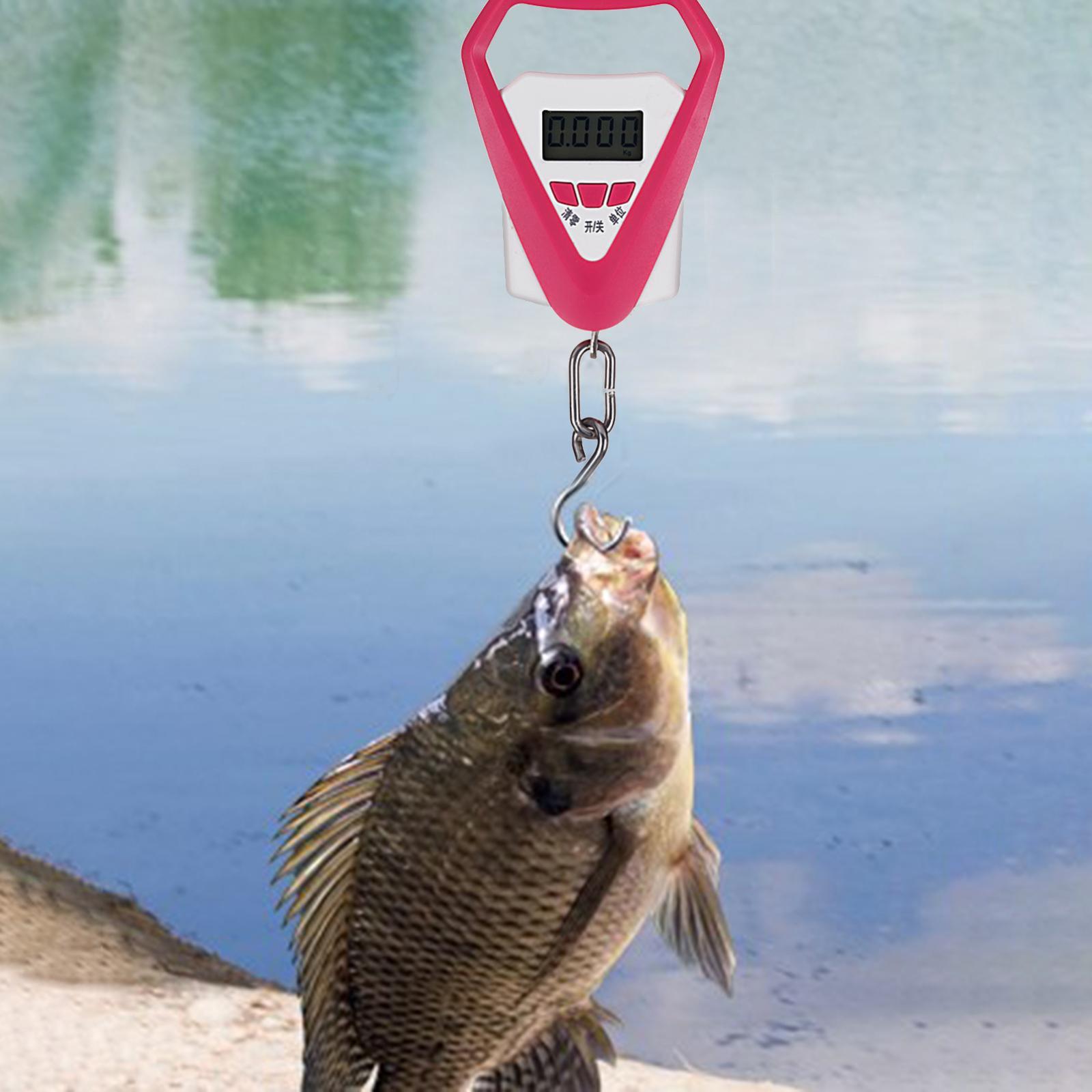 Electronic Hanging Weight Scale with Weight Hook 110lb /50kg for Travel Bag