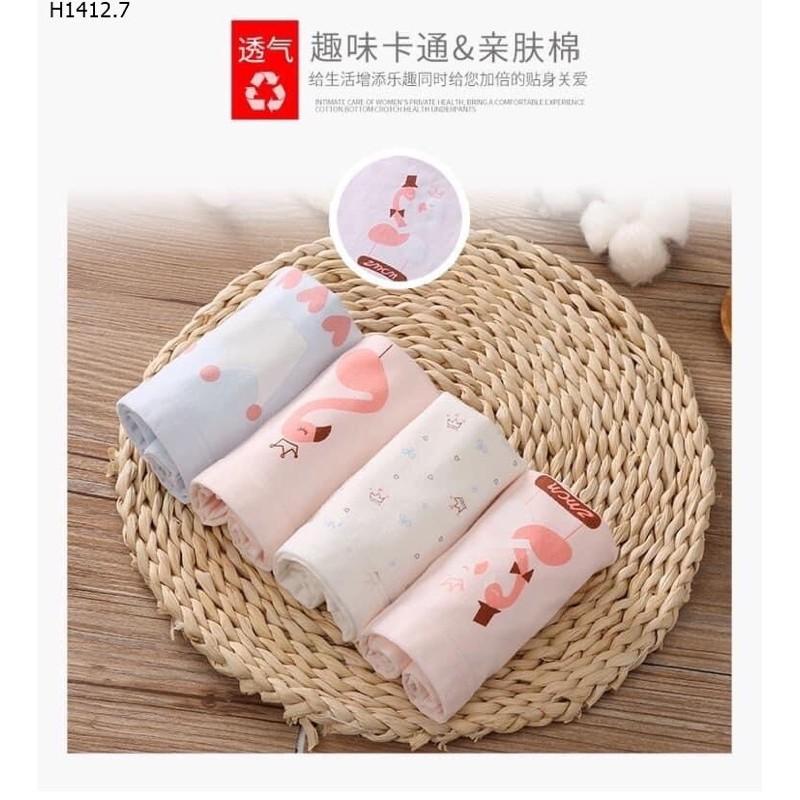 Set 4 Quần Chip Đùi Cotton Bé Gái Size Đại Xuất Dư