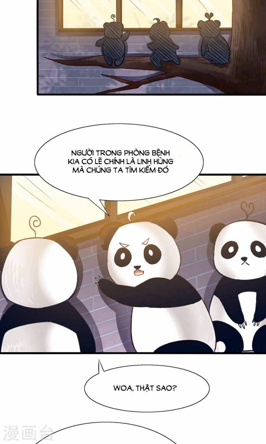 tôi bị gấu trúc nhìn trúng rồi chapter 13 2
