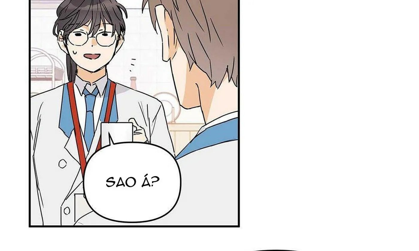 guide cấp b chapter 7 22