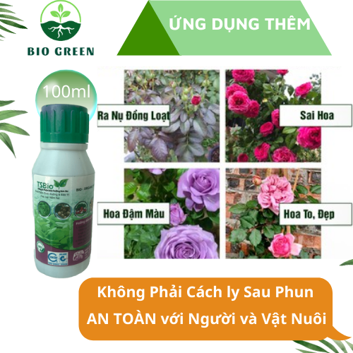 Trừ nấm sinh học TSBIO 100ml chuyên trừ CHÁY LÁ, RỈ SẮT, ĐỊA Y, VÀNG LÁ TRÊN CÂY MAI VÀNG