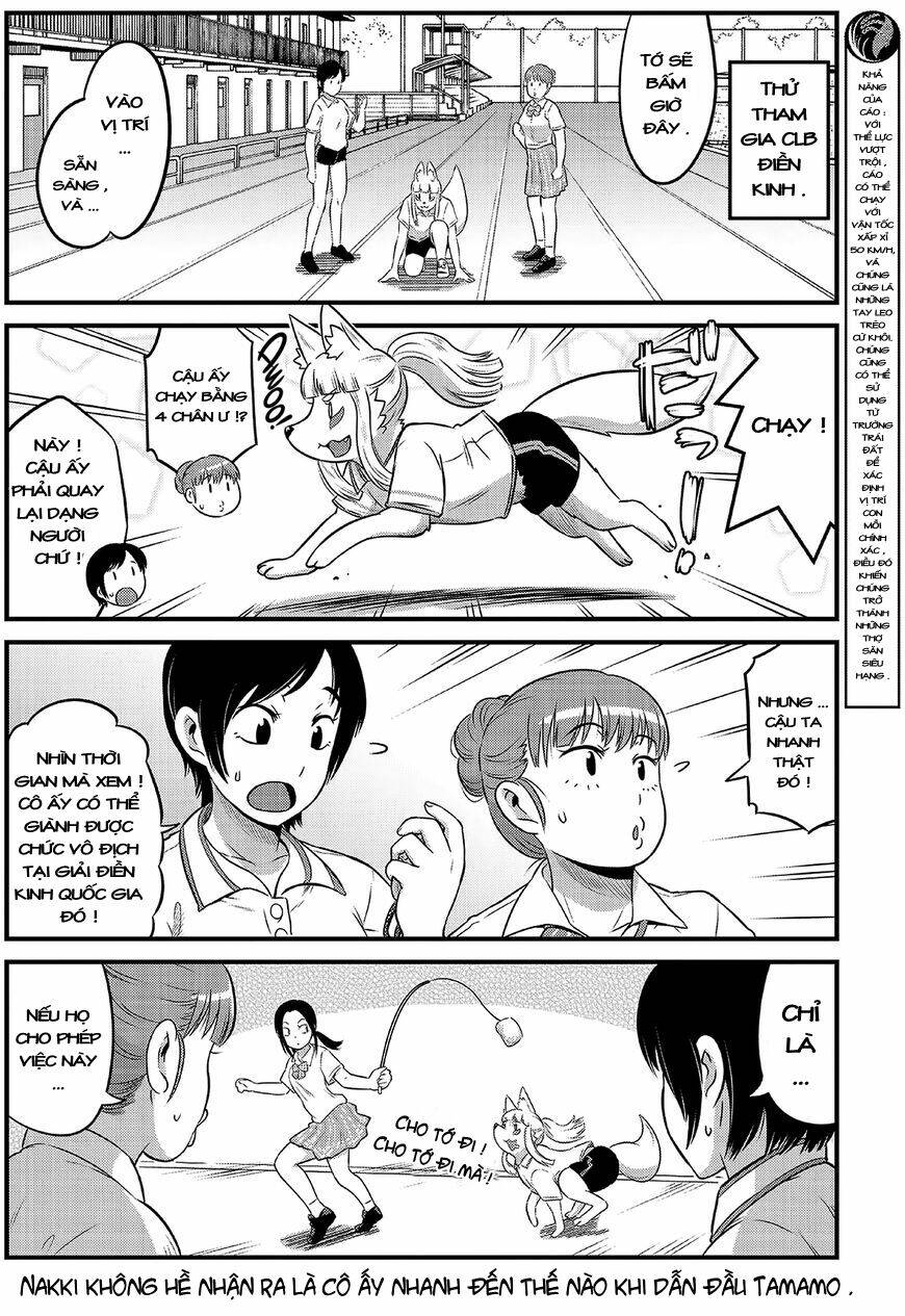 high school inari tamamo-chan ! chapter 12 7