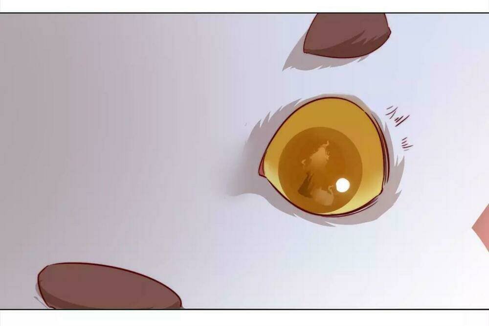 vương diệp, đuôi của ngươi đã biến mất chapter 8 12