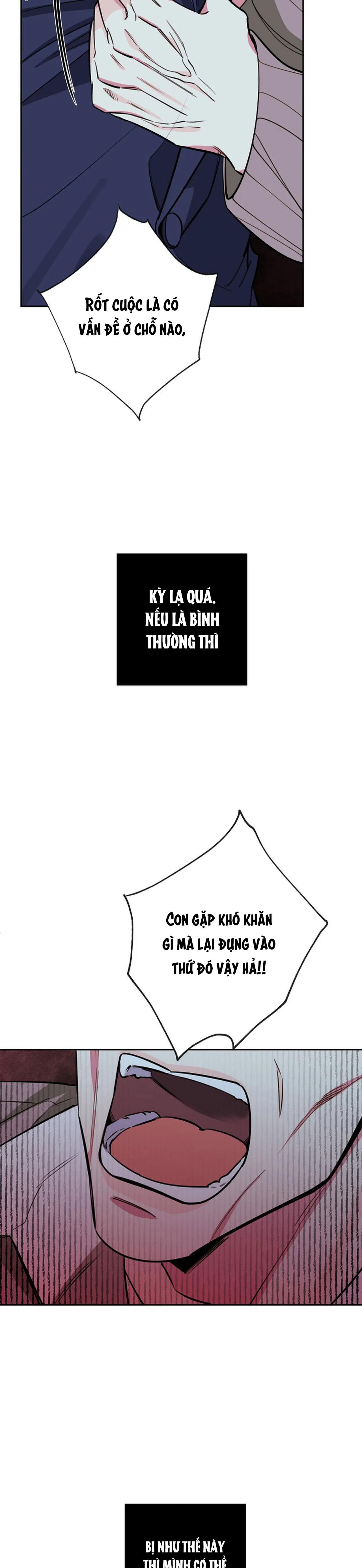 đêm dịu dàng chapter 55 6