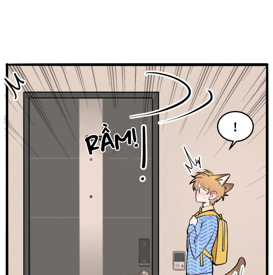 rốt cuộc bé mèo đang nghĩ gì ? chapter 11 3