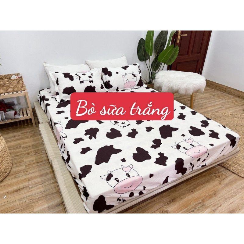 Combo Ga gối poly bộ ga gối cotton ngộ nghĩnh đáng yêu, bo chun drap ga giường