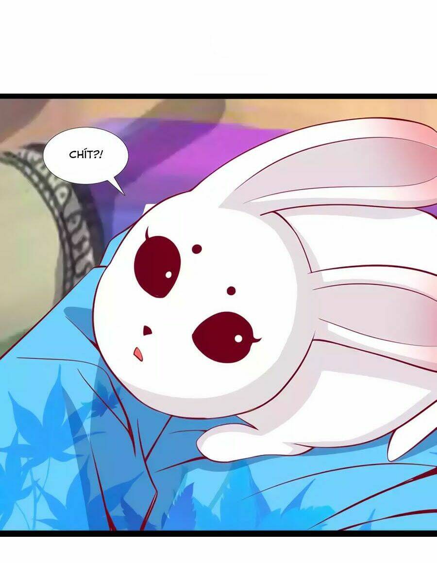 thỏ yêu tiểu vương phi chapter 85 15