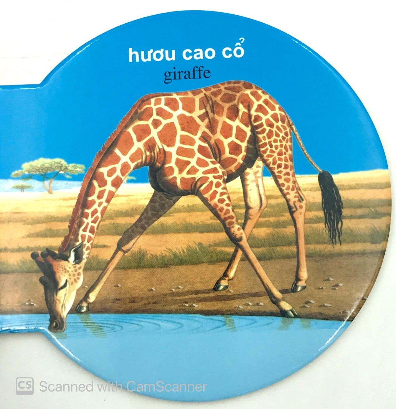 Từ Điển Anh - Việt Bằng Hình: Wild Animals - Động Vật Hoang Dã