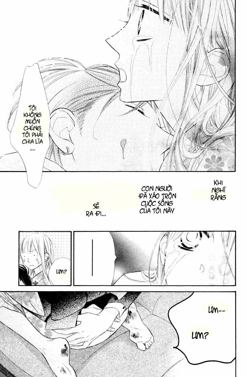 hoa trong bão chapter 4 37