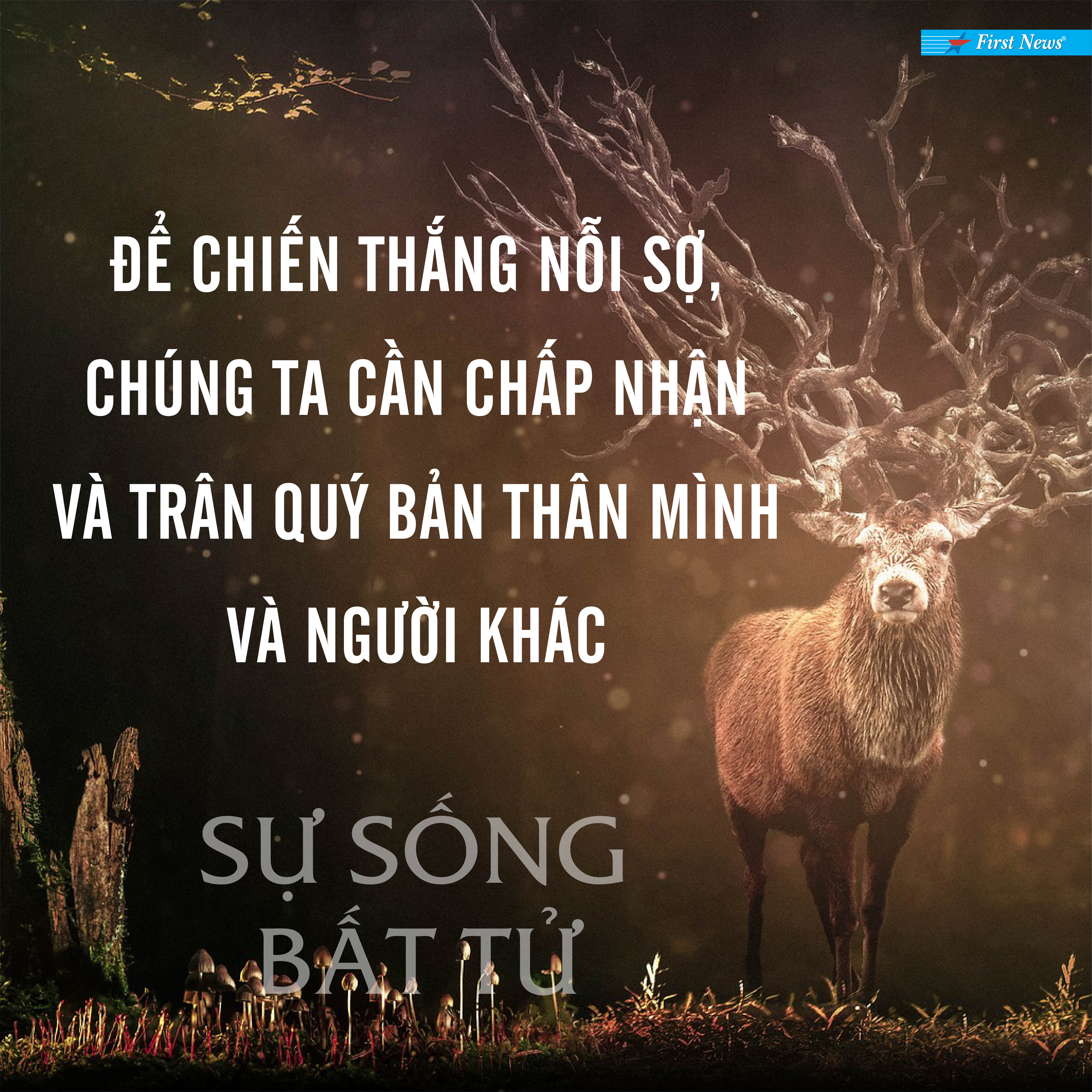 Bộ sách &quot;Khám phá Bí mật Bên Kia Cửa Tử 1&quot; (Trái tim của tâm hồn + Trở về từ cõi sáng + Sự sống bất tử)