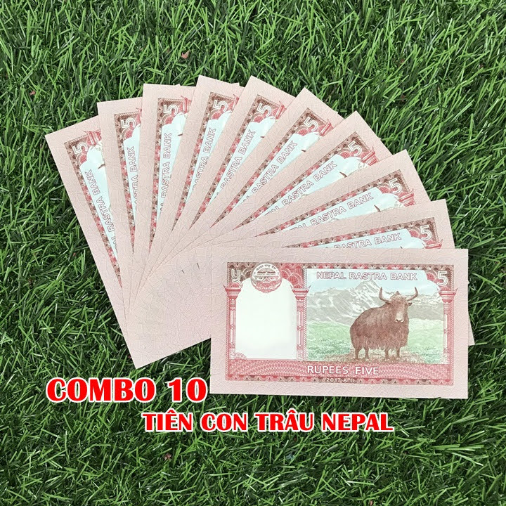 Combo 10 tờ lưu niệm hình con Trâu của Nepal, dùng để sưu tầm, lưu niệm, làm tiền lì xì độc lạ, may mắn, ý nghĩa - TMT Collection - SP005070