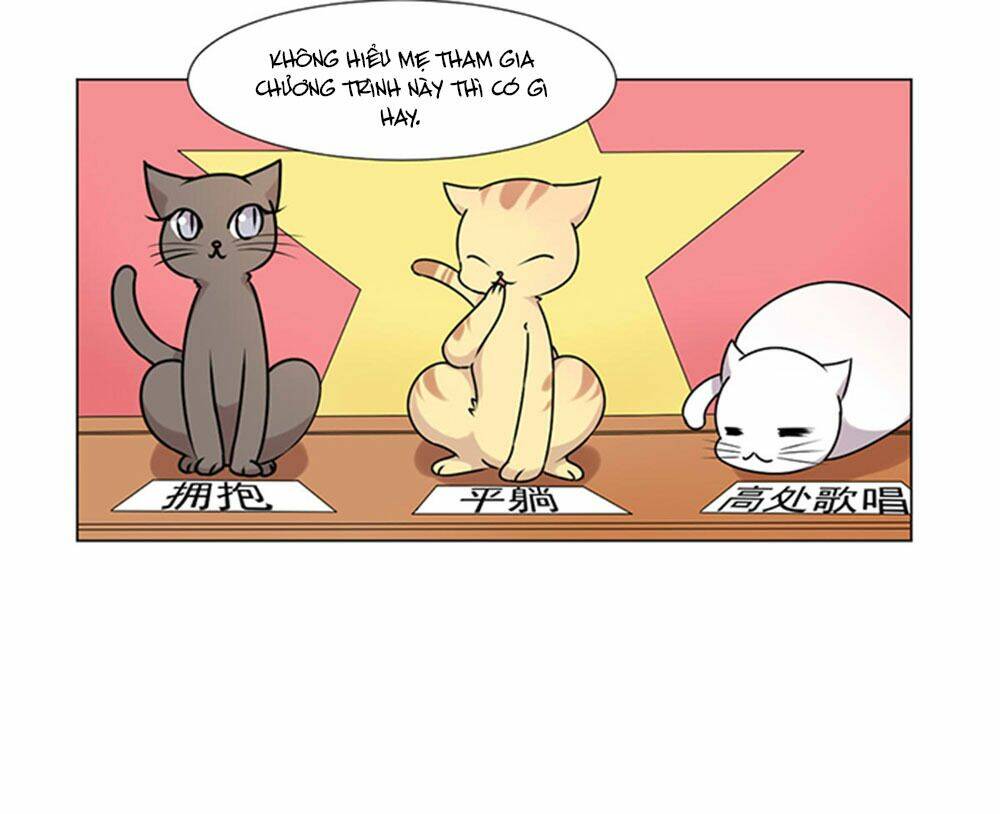 hai chú mèo totem chapter 39 9