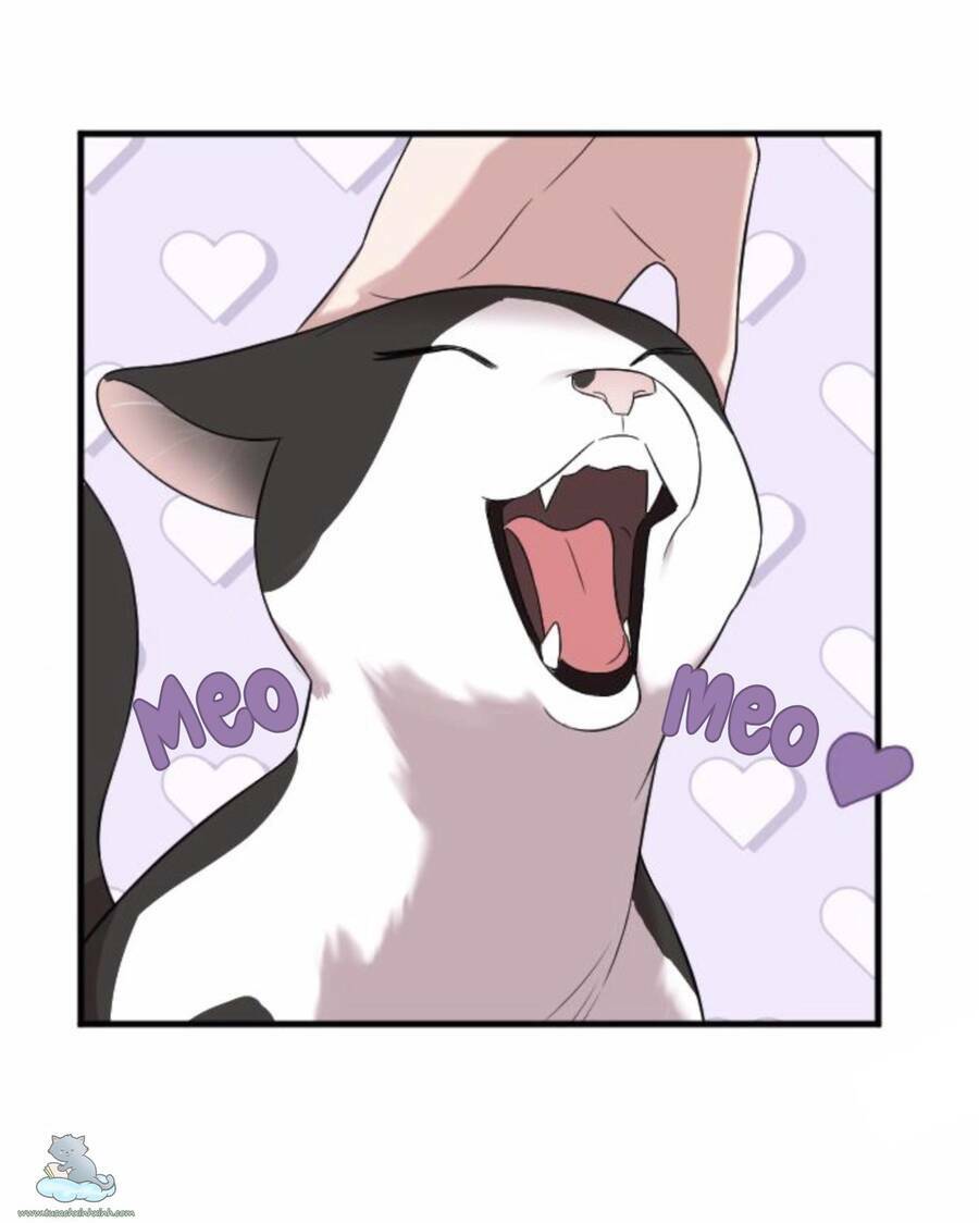 cô đi mà lấy chồng tôi đi chapter 31 111