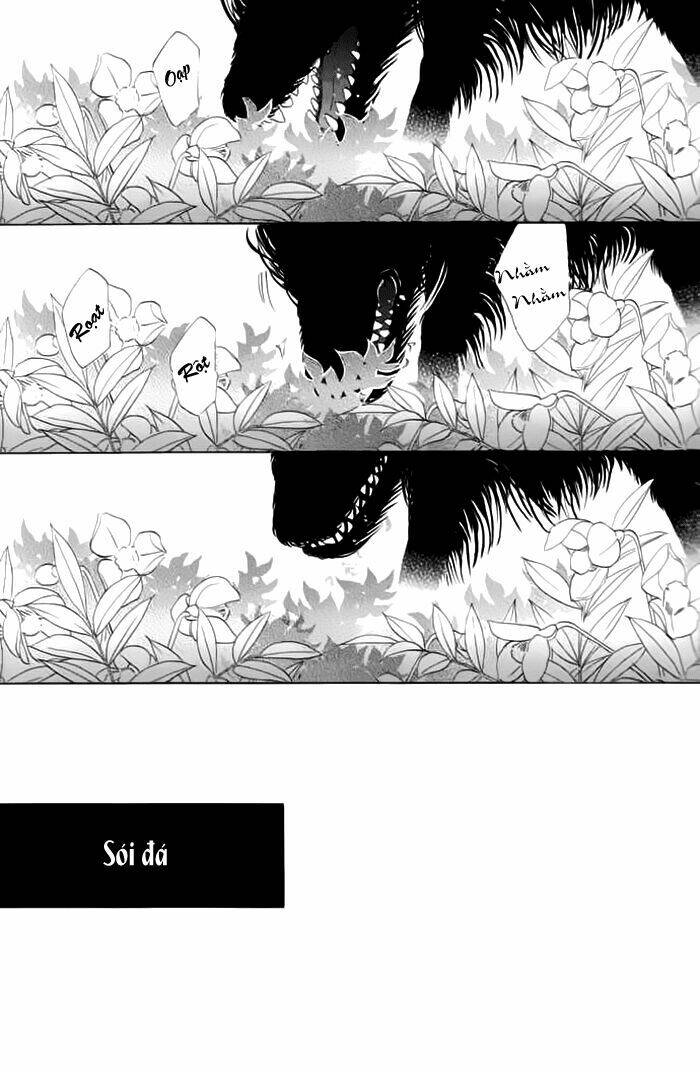 kim cương bạc chapter 19 5