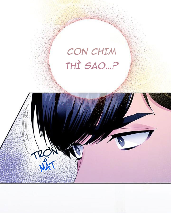 công chúa của loài chim chapter 40.1 23