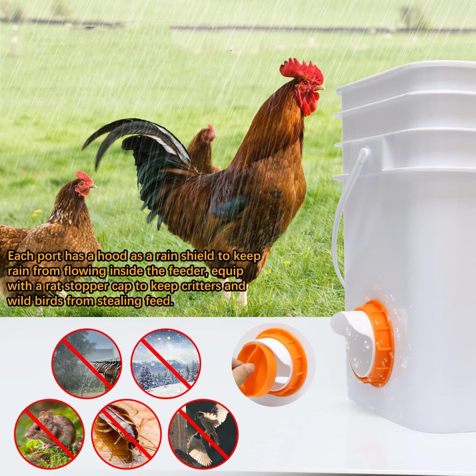Poultry Feeders Weather Resistant Automatic Chicken Feeders for Boxes Tanks